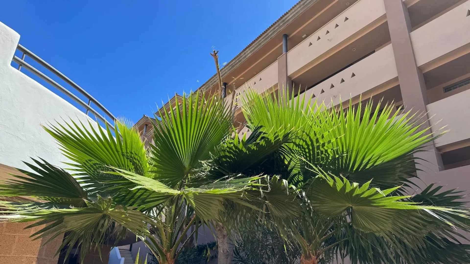 Family-Friendly Oasis In Playa Paraiso With Panoramic Terrace & Private Parking In Tenerife 플라야 파라이소